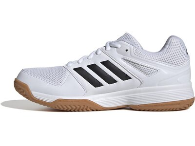 ADIDAS Damen Volleyballschuhe Speedcourt IN Grau