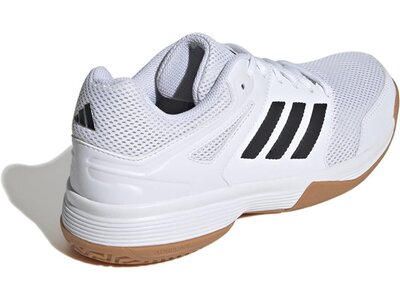 ADIDAS Damen Volleyballschuhe Speedcourt IN Grau