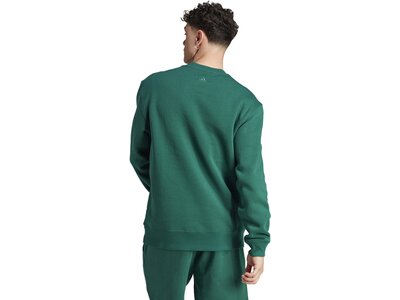 ADIDAS Herren Sweatshirt All SZN Fleece Graphic Grün
