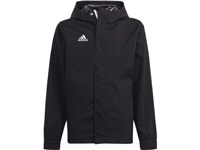 ADIDAS Herren Jacke Entrada 22 All-Weather (normal & lang) Grau