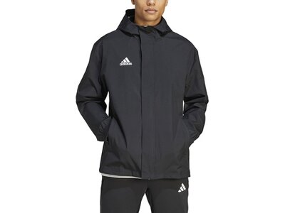 ADIDAS Herren Jacke Entrada 22 All-Weather (normal & lang) Grau