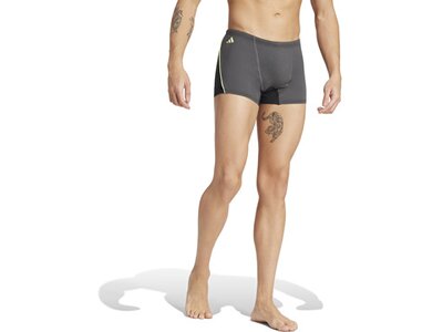 ADIDAS Badehose Performance Grau