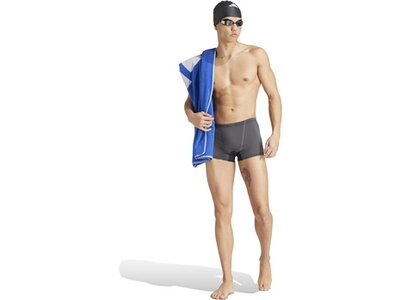 ADIDAS Badehose Performance Grau