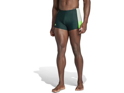 ADIDAS Herren Badehose Colorblock Swim Grün