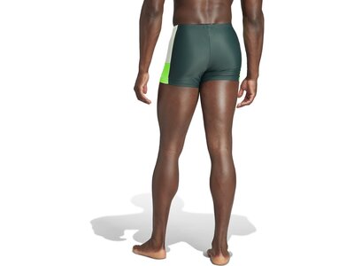 ADIDAS Herren Badehose Colorblock Swim Grün