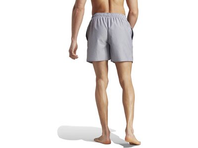 ADIDAS Herren Shorts Stripey Classics Short Length Silber