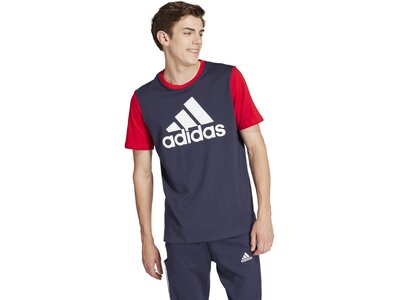 ADIDAS Herren Shirt Essentials Single Jersey Big Logo (normal & lang) Grau