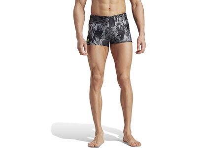 ADIDAS Badehose Performance Graphic Grau