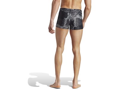 ADIDAS Badehose Performance Graphic Grau