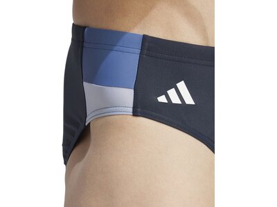 ADIDAS Badehose Colorblock Grau