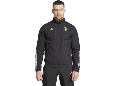 ADIDAS Herren Fanjacke Juventus Turin Tiro 23 Grau