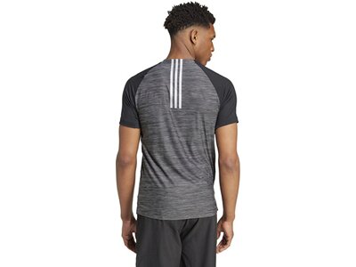 ADIDAS Herren Shirt Gym+ Training 3-Streifen Grau