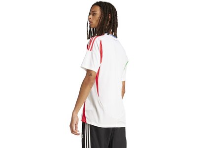 ADIDAS Herren Trikot Italien 24 Auswärts Weiß