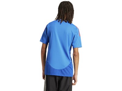 ADIDAS Herren Trikot Italien 24 Heimtrikot Blau