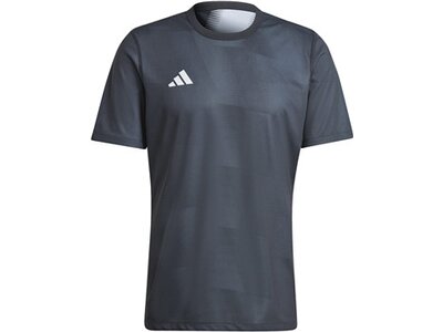 ADIDAS Herren Trikot Reversible 24 Grau