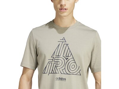 ADIDAS Herren Shirt House of Tiro Graphic Grau