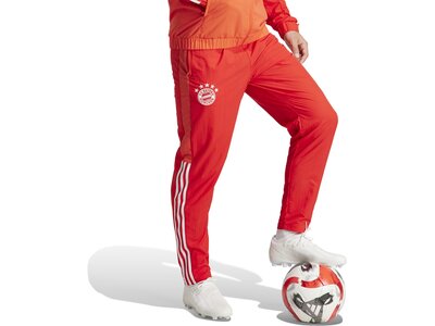 ADIDAS Herren Fanhose FCB PRE PNT Rot