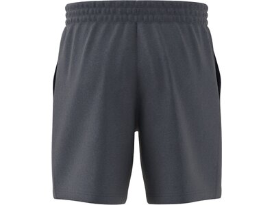 ADIDAS Herren Shorts Seasonal Essentials Mélange Grau