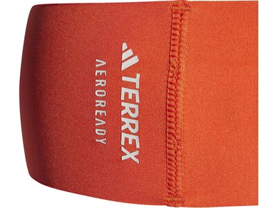 ADIDAS Herren Terrex Aeroready Braun