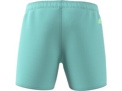 ADIDAS Kinder Badeshorts Sportswear Essentials Logo CLX Kids Grün