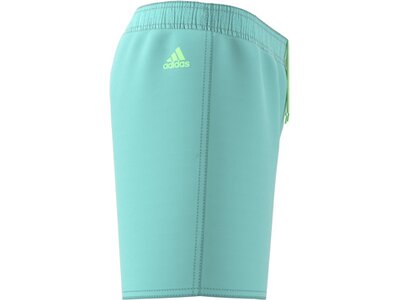 ADIDAS Kinder Badeshorts Sportswear Essentials Logo CLX Kids Grün