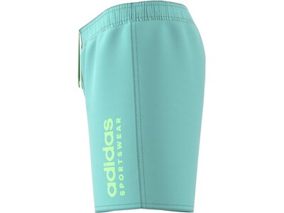 ADIDAS Kinder Badeshorts Sportswear Essentials Logo CLX Kids Grün