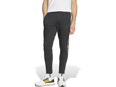 ADIDAS Herren Hose Tiro Grau