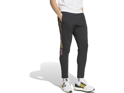 ADIDAS Herren Hose Tiro Grau