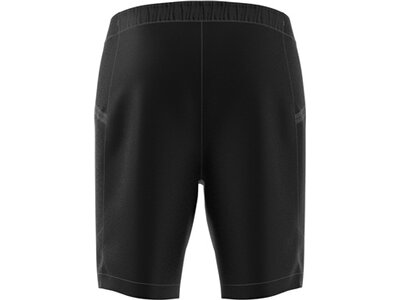 ADIDAS Herren Shorts Terrex Xperior Mid Schwarz