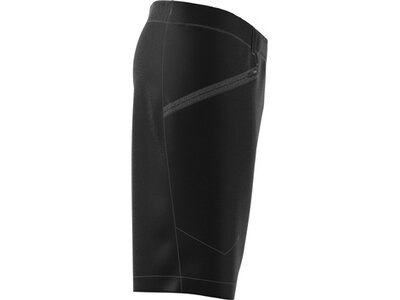 ADIDAS Herren Shorts Terrex Xperior Mid Schwarz