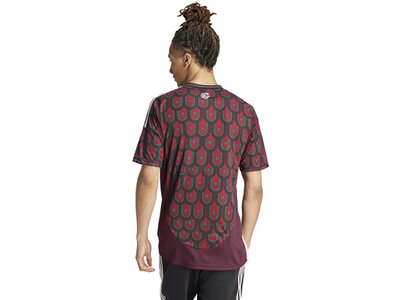 ADIDAS Herren Trikot Mexiko 24 Heim Bunt