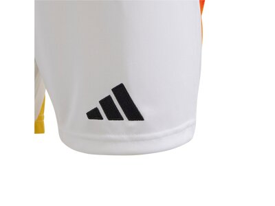 ADIDAS Kinder Teamhose DFB 24 Kids Heim Grau