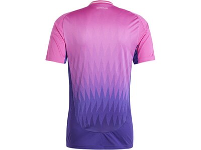 ADIDAS Herren Trikot DFB 24 Auswärts Lila