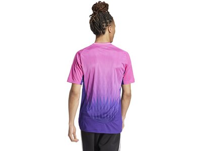 ADIDAS Herren Trikot DFB 24 Auswärts Lila