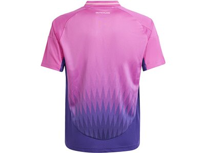 ADIDAS Kinder Trikot DFB 24 Kids Auswärts Lila