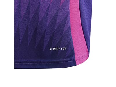 ADIDAS Kinder Trikot DFB 24 Kids Auswärts Lila
