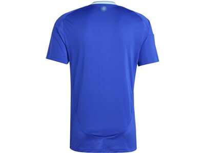 ADIDAS Herren Trikot Argentinien 24 Auswärts Blau