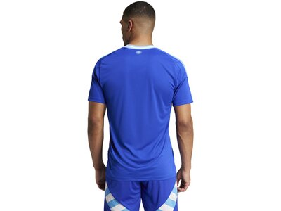 ADIDAS Herren Trikot Argentinien 24 Auswärts Blau