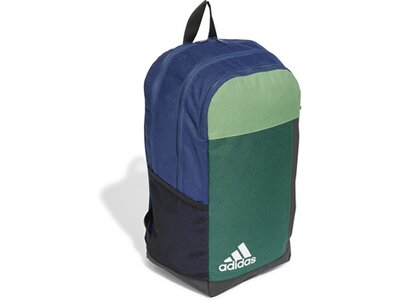 ADIDAS Rucksack Motion Badge of Sport Grau