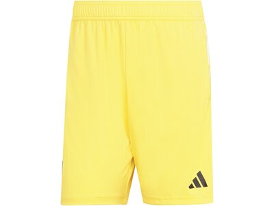 ADIDAS Herren Teamhose JUVE TR SHO Gelb