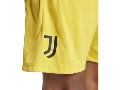 ADIDAS Herren Teamhose JUVE TR SHO Gelb