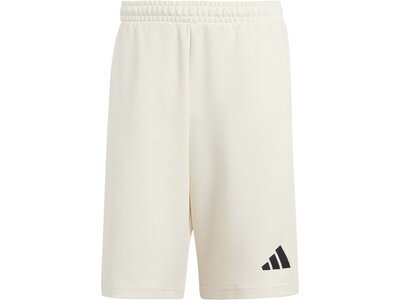 ADIDAS Herren Shorts Team Deutschland Grau