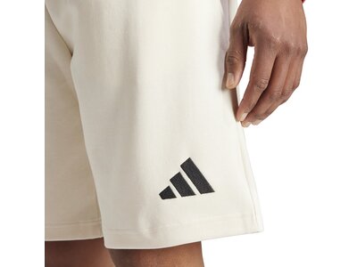 ADIDAS Herren Shorts Team Deutschland Grau