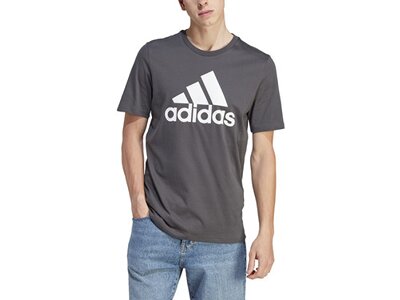 ADIDAS Herren Shirt Essentials Single Jersey Big Logo Grau