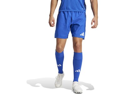 ADIDAS Herren Shorts Tiro 24 Competition Match Blau