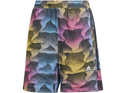 ADIDAS Damen Shorts Tiro Print Mesh Summer Grau