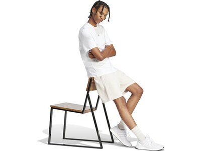 ADIDAS Herren Shorts ALL SZN French Terry 3-Streifen Garment-Wash (normal & lang) Grau