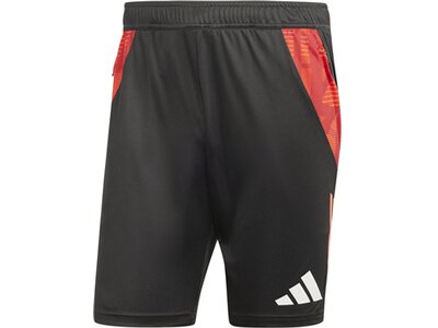 ADIDAS Herren Shorts Tiro 24 Competition (normal & lang) Grau