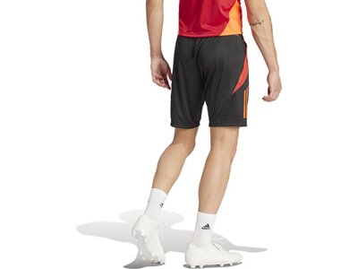 ADIDAS Herren Shorts Tiro 24 Competition (normal & lang) Grau