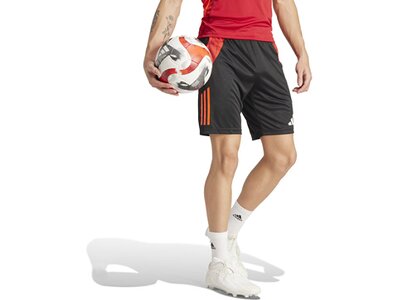 ADIDAS Herren Shorts Tiro 24 Competition (normal & lang) Grau